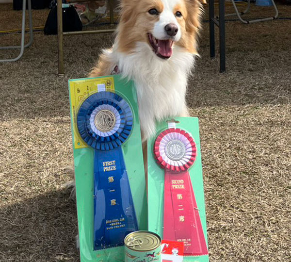 長崎ウィズワンアジリティークラブアジリティー競技会｜強風の中でも堂々の入賞ラッシュ!