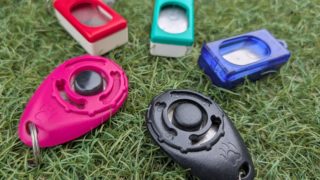 クリッカートレーニングとは?シェーピングやカレン・プライヤーについても解説|東広島のドッグトレーナー【村上愛犬警察犬訓練所】