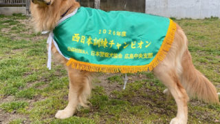 春季西日本訓練チャンピオン決定競技会 入賞報告🏆